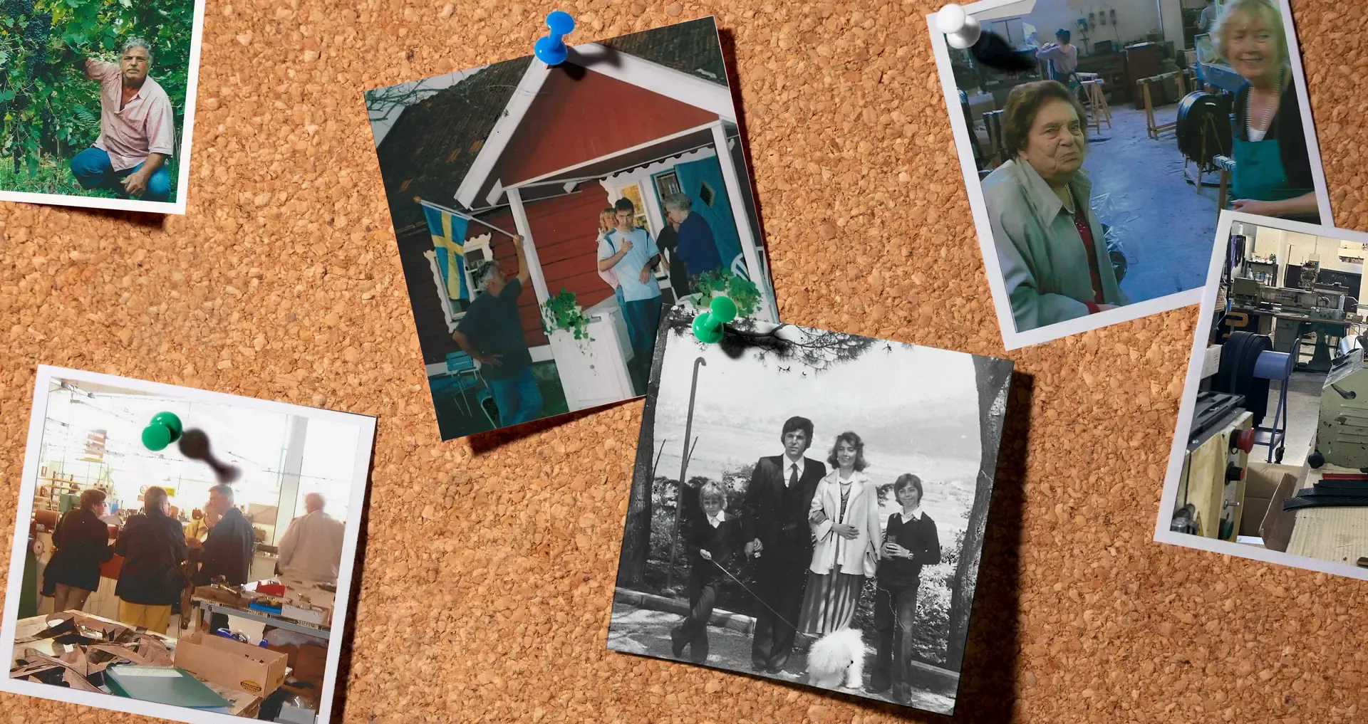 The Balzani Family between Italy and Sweden - memories of 50 years of activity